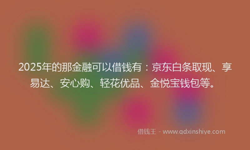 2025年的那金融可以借钱有：京东白条取现、享易达、安心购、轻花优品、金悦宝钱包等。