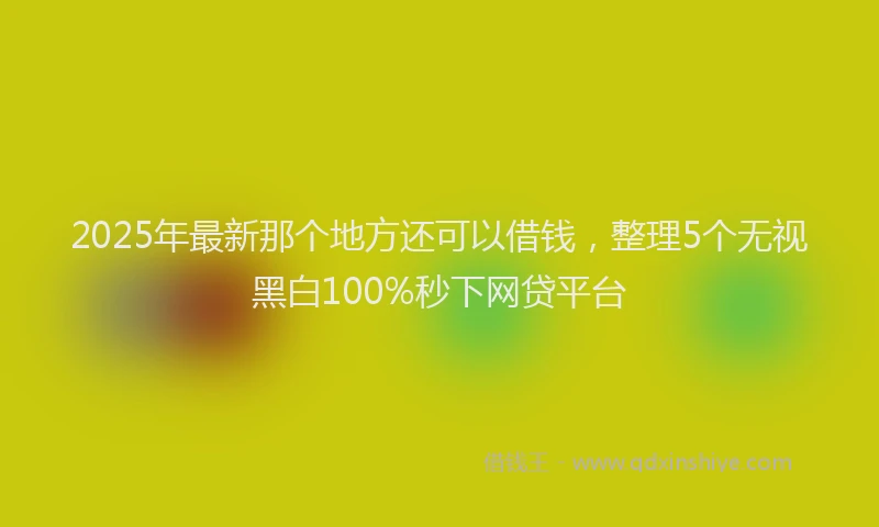 2025年最新那个地方还可以借钱，整理5个无视黑白100%秒下网贷平台