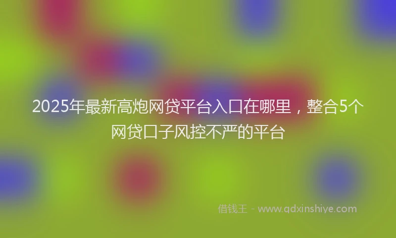 2025年最新高炮网贷平台入口在哪里，整合5个网贷口子风控不严的平台