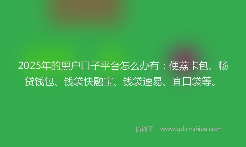 2025年的黑户口子平台怎么办有：便荔卡包、畅贷钱包、钱袋快融宝、钱袋速易、宜口袋等。