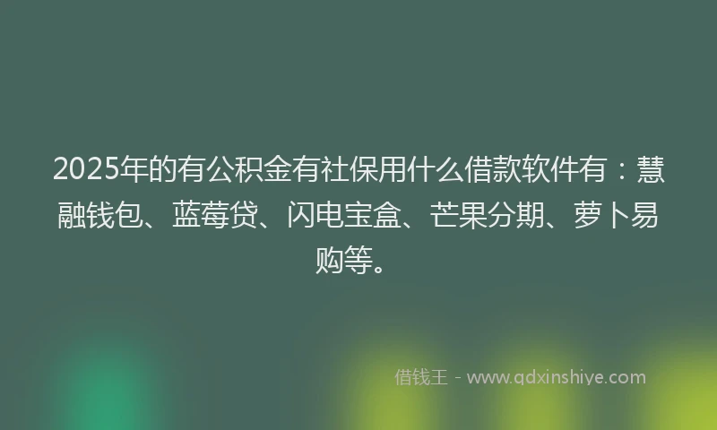 2025年的有公积金有社保用什么借款软件有：慧融钱包、蓝莓贷、闪电宝盒、芒果分期、萝卜易购等。
