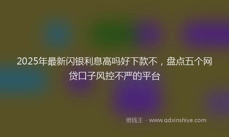 2025年最新闪银利息高吗好下款不，盘点五个网贷口子风控不严的平台