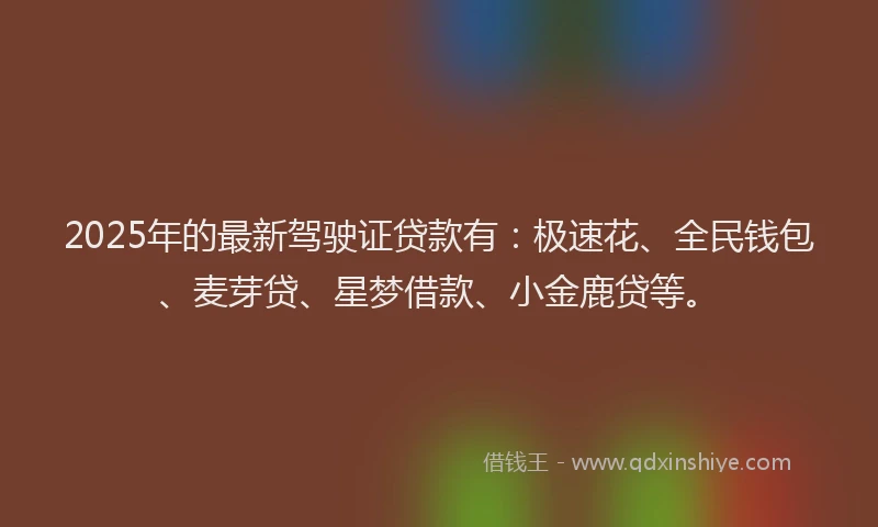 2025年的最新驾驶证贷款有：极速花、全民钱包、麦芽贷、星梦借款、小金鹿贷等。