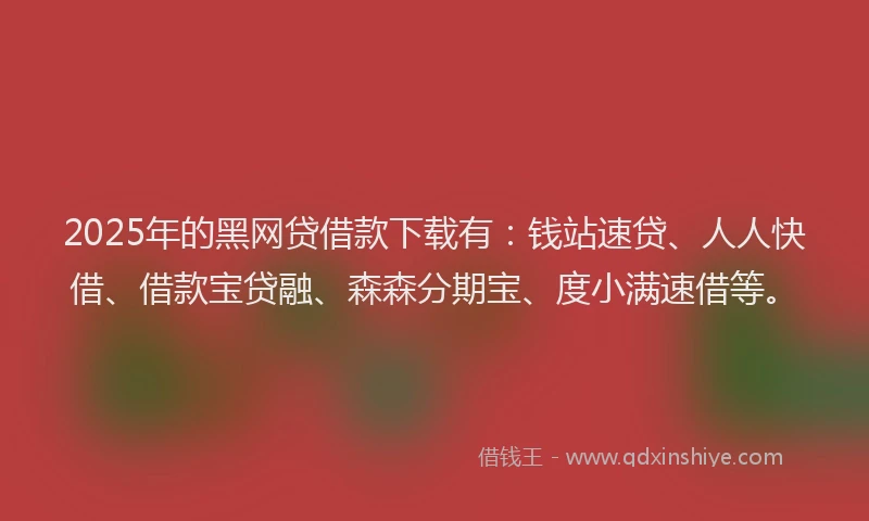 2025年的黑网贷借款下载有：钱站速贷、人人快借、借款宝贷融、森森分期宝、度小满速借等。
