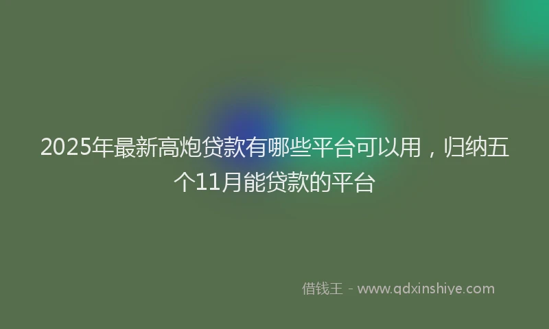2025年最新高炮贷款有哪些平台可以用，归纳五个11月能贷款的平台