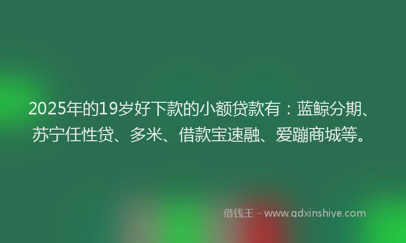 2025年的19岁好下款的小额贷款有：蓝鲸分期、苏宁任性贷、多米、借款宝速融、爱蹦商城等。