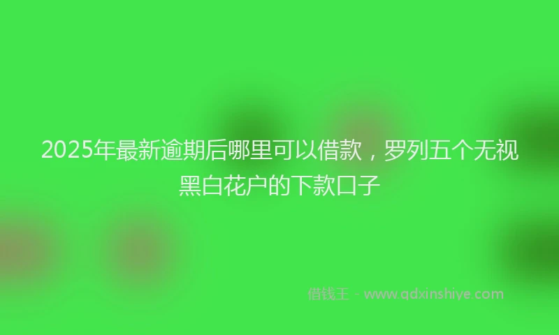 2025年最新逾期后哪里可以借款，罗列五个无视黑白花户的下款口子