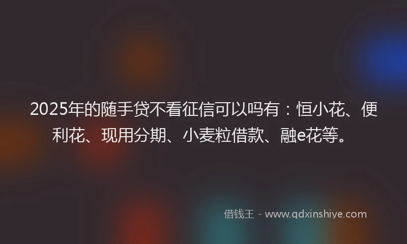 2025年的随手贷不看征信可以吗有：恒小花、便利花、现用分期、小麦粒借款、融e花等。