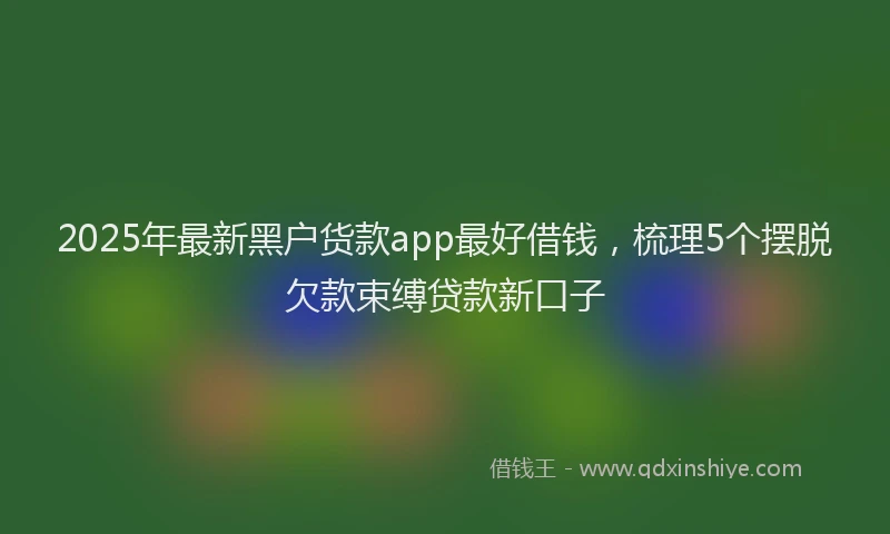 2025年最新黑户货款app最好借钱，梳理5个摆脱欠款束缚贷款新口子