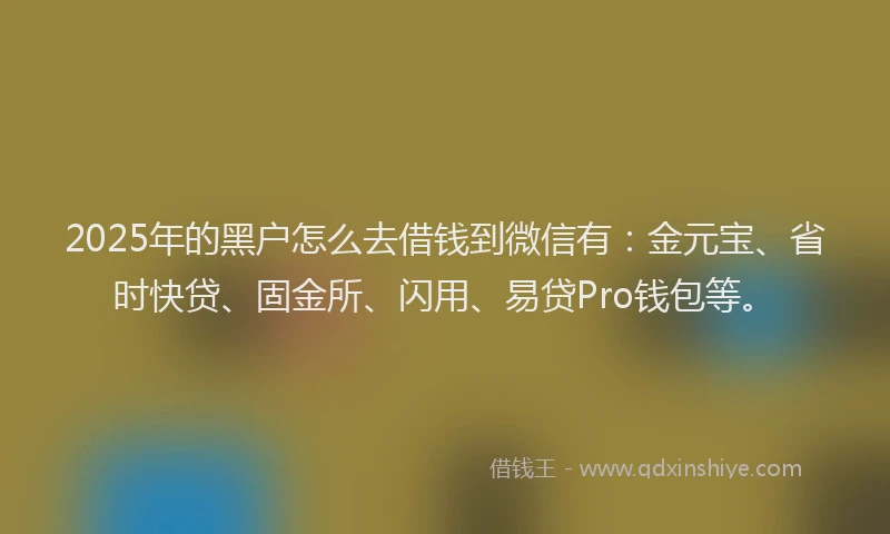 2025年的黑户怎么去借钱到微信有：金元宝、省时快贷、固金所、闪用、易贷Pro钱包等。