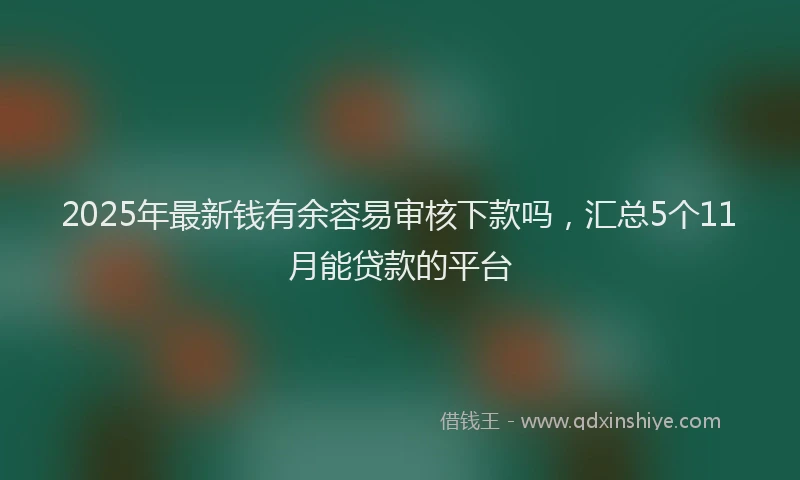 2025年最新钱有余容易审核下款吗，汇总5个11月能贷款的平台