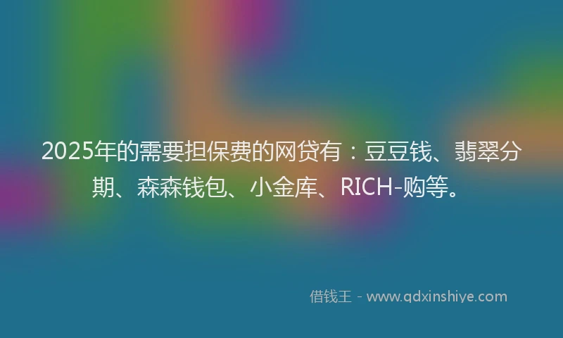 2025年的需要担保费的网贷有：豆豆钱、翡翠分期、森森钱包、小金库、RICH-购等。