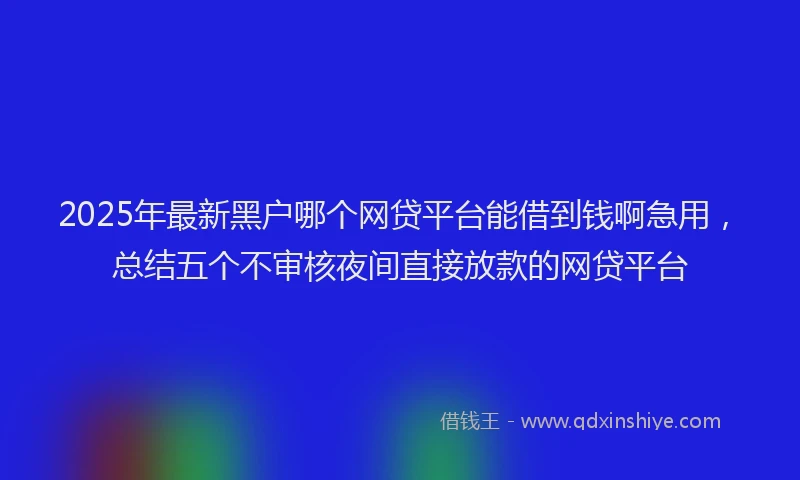 2025年最新黑户哪个网贷平台能借到钱啊急用，总结五个不审核夜间直接放款的网贷平台