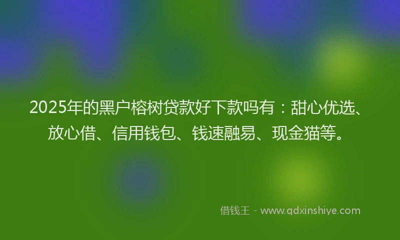 2025年的黑户榕树贷款好下款吗有：甜心优选、放心借、信用钱包、钱速融易、现金猫等。