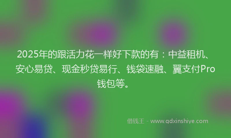 2025年的跟活力花一样好下款的有：中益租机、安心易贷、现金秒贷易行、钱袋速融、翼支付Pro钱包等。