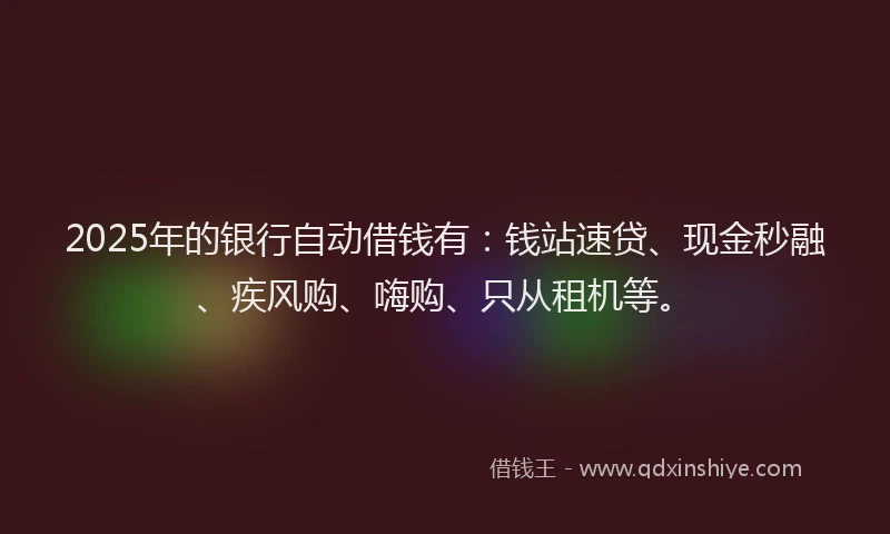 2025年的银行自动借钱有：钱站速贷、现金秒融、疾风购、嗨购、只从租机等。