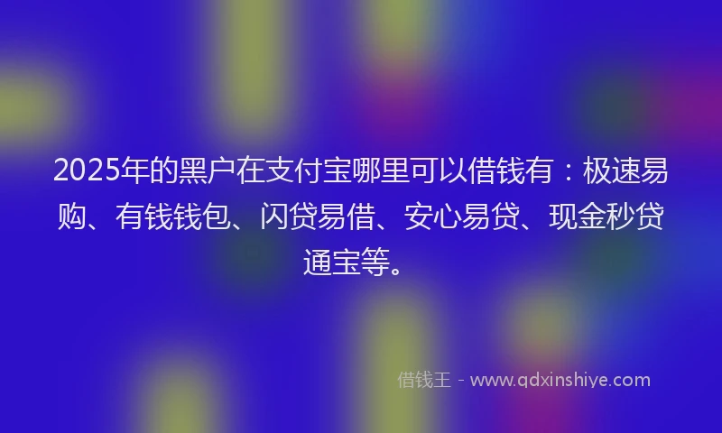 2025年的黑户在支付宝哪里可以借钱有：极速易购、有钱钱包、闪贷易借、安心易贷、现金秒贷通宝等。