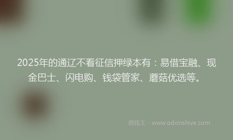 2025年的通辽不看征信押绿本有：易借宝融、现金巴士、闪电购、钱袋管家、蘑菇优选等。