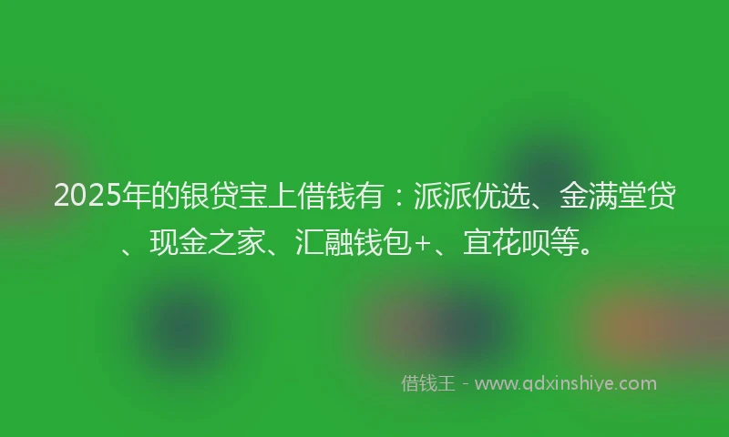 2025年的银贷宝上借钱有：派派优选、金满堂贷、现金之家、汇融钱包+、宜花呗等。
