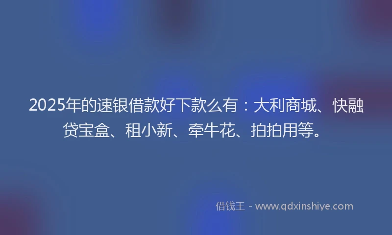 2025年的速银借款好下款么有：大利商城、快融贷宝盒、租小新、牵牛花、拍拍用等。