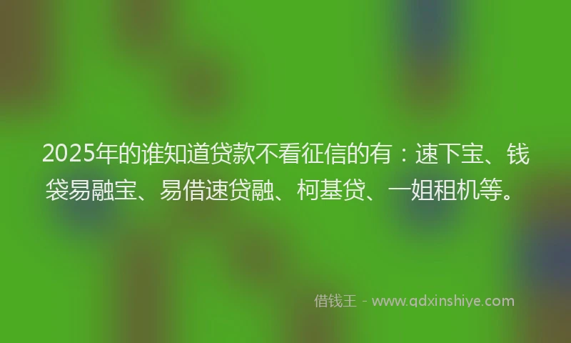 2025年的谁知道贷款不看征信的有：速下宝、钱袋易融宝、易借速贷融、柯基贷、一姐租机等。