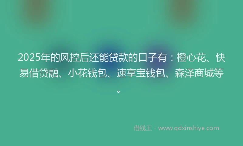 2025年的风控后还能贷款的口子有：橙心花、快易借贷融、小花钱包、速享宝钱包、森泽商城等。