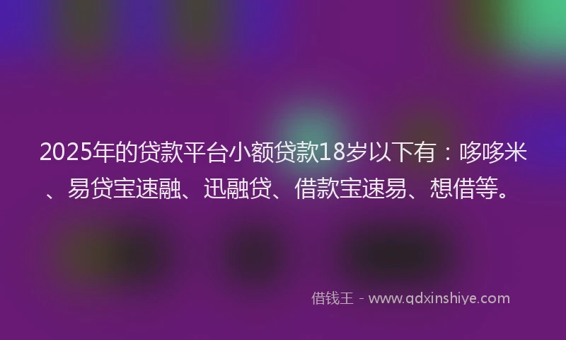 2025年的贷款平台小额贷款18岁以下有：哆哆米、易贷宝速融、迅融贷、借款宝速易、想借等。