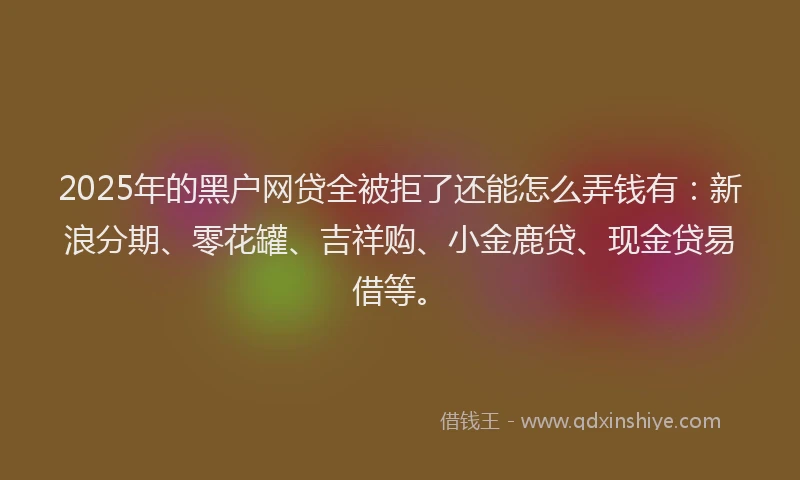 2025年的黑户网贷全被拒了还能怎么弄钱有：新浪分期、零花罐、吉祥购、小金鹿贷、现金贷易借等。