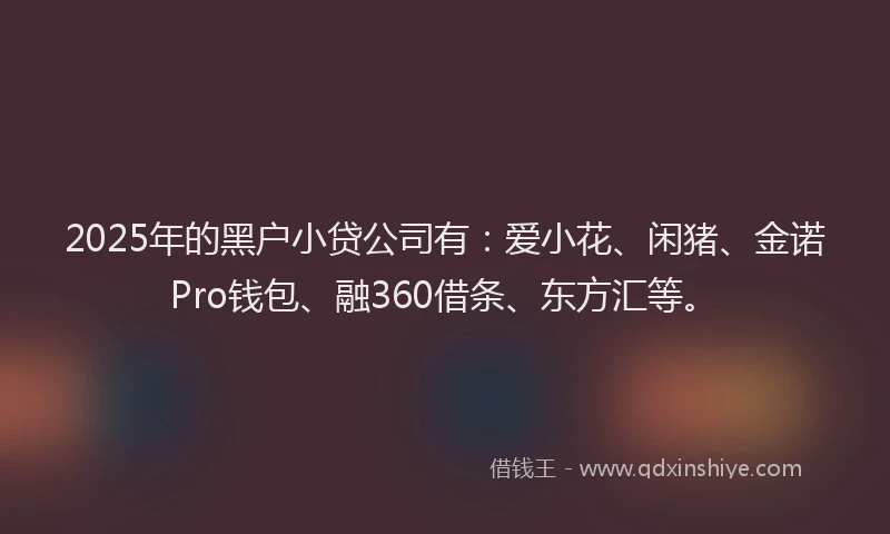 2025年的黑户小贷公司有：爱小花、闲猪、金诺Pro钱包、融360借条、东方汇等。