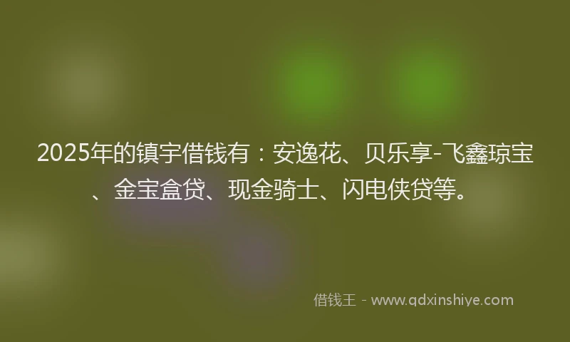 2025年的镇宇借钱有：安逸花、贝乐享-飞鑫琼宝、金宝盒贷、现金骑士、闪电侠贷等。