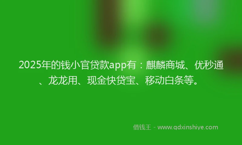 2025年的钱小官贷款app有：麒麟商城、优秒通、龙龙用、现金快贷宝、移动白条等。