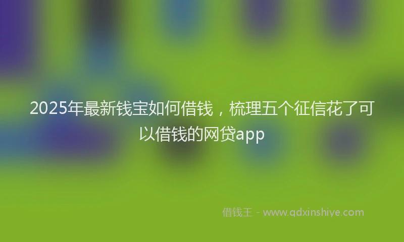 2025年最新钱宝如何借钱，梳理五个征信花了可以借钱的网贷app