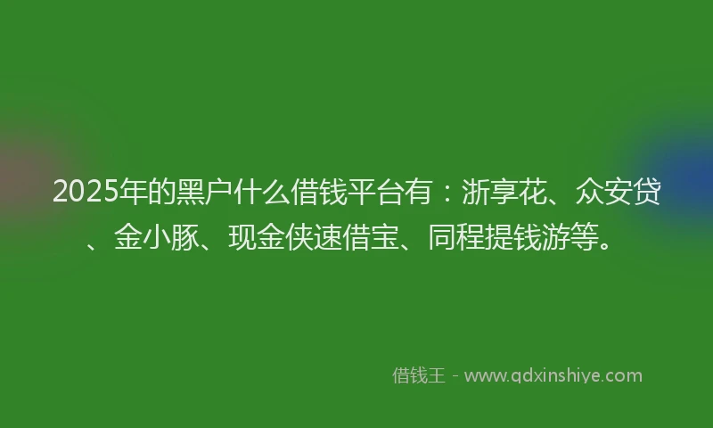 2025年的黑户什么借钱平台有：浙享花、众安贷、金小豚、现金侠速借宝、同程提钱游等。