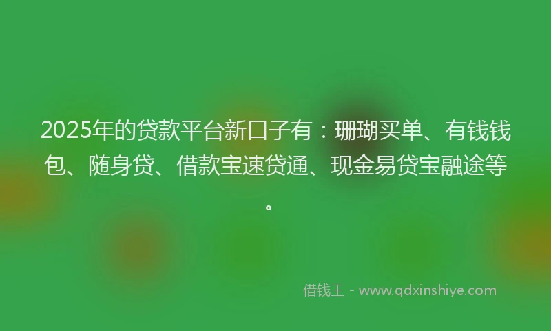 2025年的贷款平台新口子有：珊瑚买单、有钱钱包、随身贷、借款宝速贷通、现金易贷宝融途等。