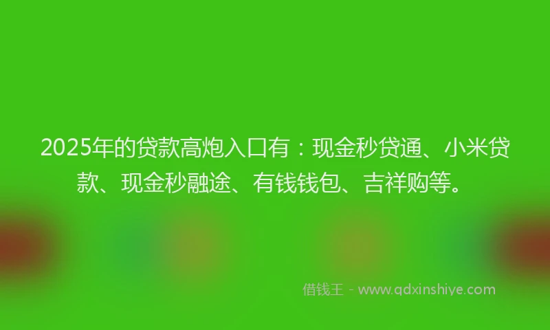 2025年的贷款高炮入口有：现金秒贷通、小米贷款、现金秒融途、有钱钱包、吉祥购等。