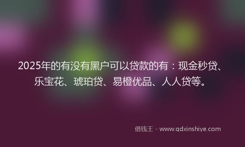 2025年的有没有黑户可以贷款的有：现金秒贷、乐宝花、琥珀贷、易橙优品、人人贷等。