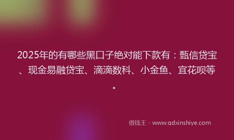 2025年的有哪些黑口子绝对能下款有：甄信贷宝、现金易融贷宝、滴滴数科、小金鱼、宜花呗等。