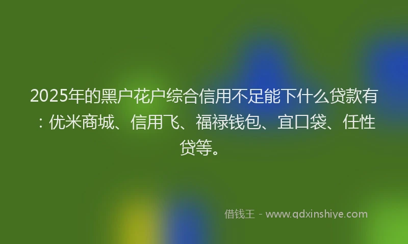 2025年的黑户花户综合信用不足能下什么贷款有：优米商城、信用飞、福禄钱包、宜口袋、任性贷等。