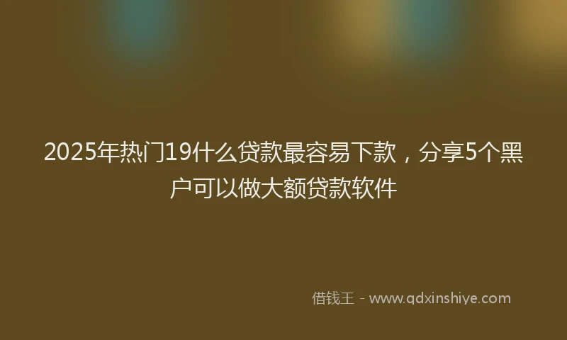 2025年热门19什么贷款最容易下款，分享5个黑户可以做大额贷款软件