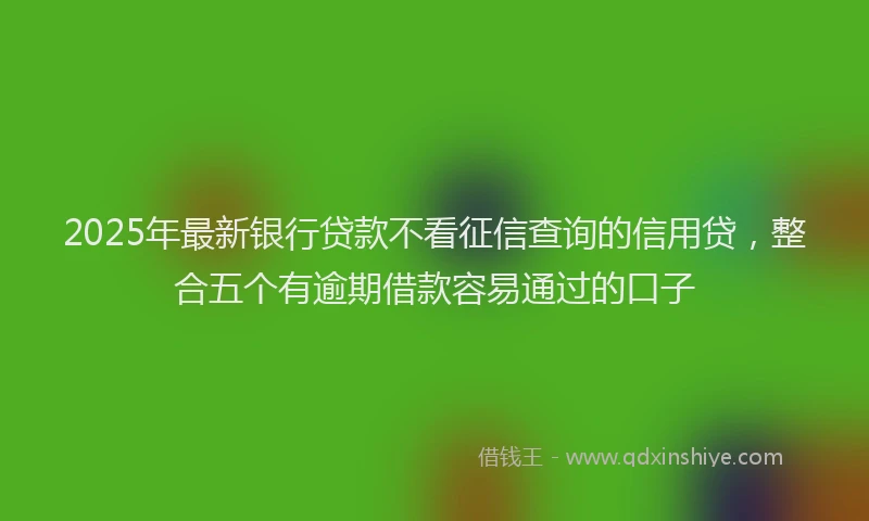 2025年最新银行贷款不看征信查询的信用贷，整合五个有逾期借款容易通过的口子