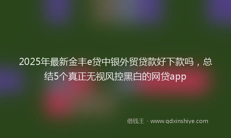 2025年最新金丰e贷中银外贸贷款好下款吗，总结5个真正无视风控黑白的网贷app