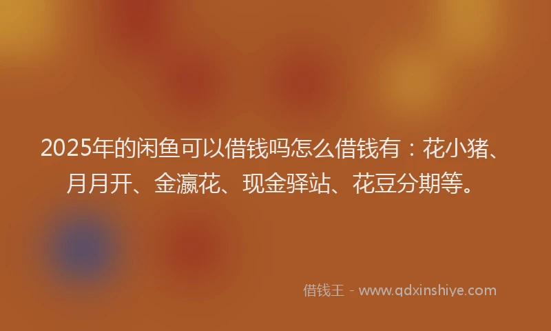 2025年的闲鱼可以借钱吗怎么借钱有：花小猪、月月开、金瀛花、现金驿站、花豆分期等。