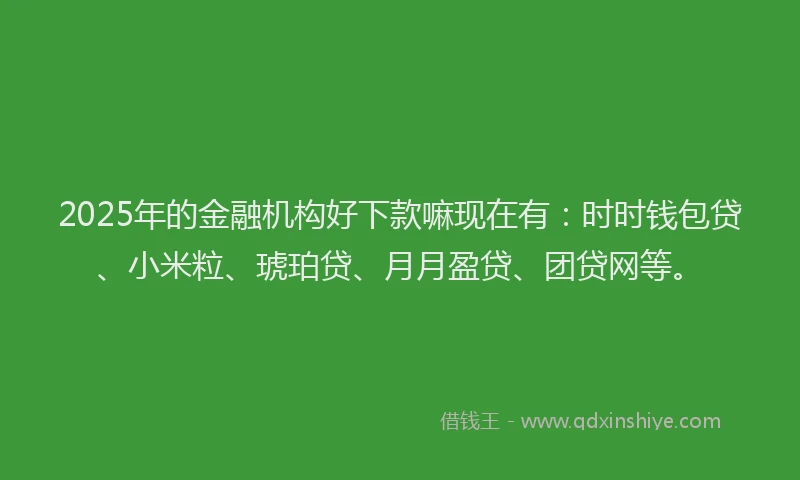 2025年的金融机构好下款嘛现在有：时时钱包贷、小米粒、琥珀贷、月月盈贷、团贷网等。