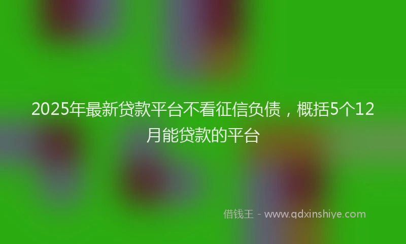 2025年最新贷款平台不看征信负债，概括5个12月能贷款的平台