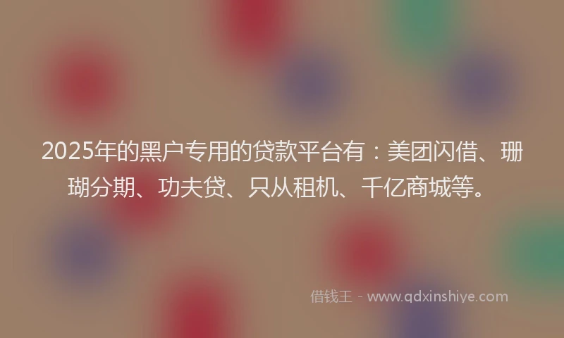 2025年的黑户专用的贷款平台有：美团闪借、珊瑚分期、功夫贷、只从租机、千亿商城等。