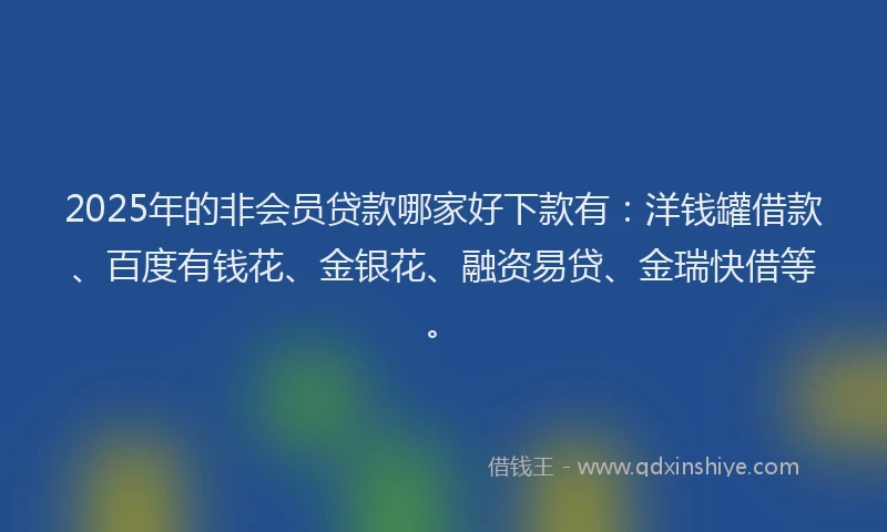 2025年的非会员贷款哪家好下款有：洋钱罐借款、百度有钱花、金银花、融资易贷、金瑞快借等。