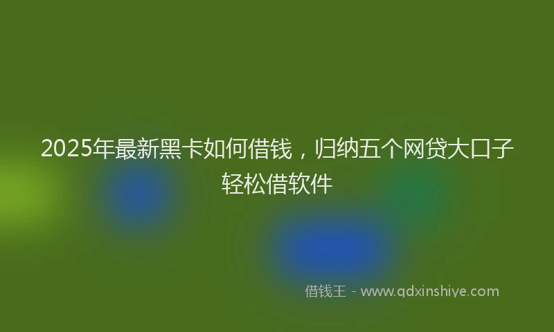 2025年最新黑卡如何借钱，归纳五个网贷大口子轻松借软件