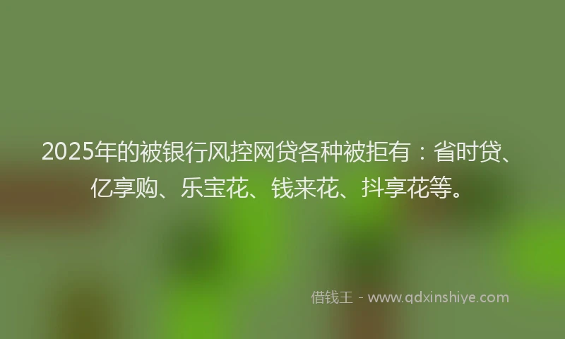 2025年的被银行风控网贷各种被拒有：省时贷、亿享购、乐宝花、钱来花、抖享花等。