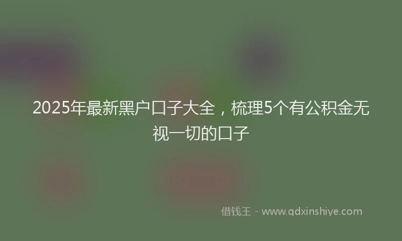 2025年最新黑户口子大全，梳理5个有公积金无视一切的口子
