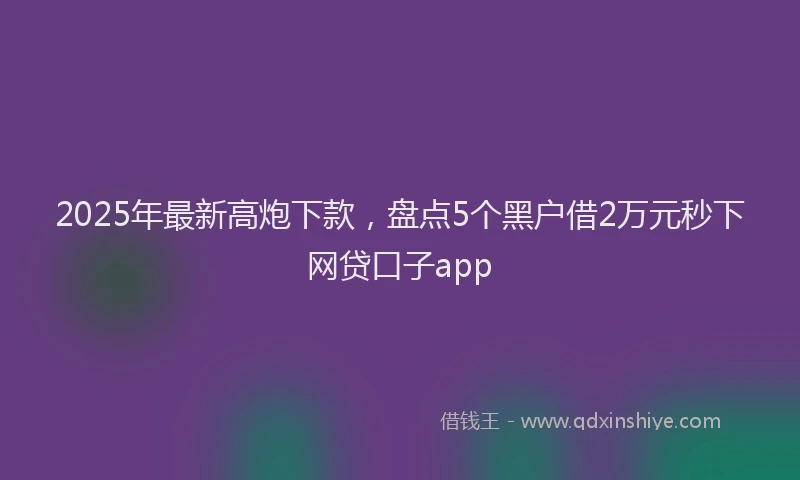 2025年最新高炮下款，盘点5个黑户借2万元秒下网贷口子app